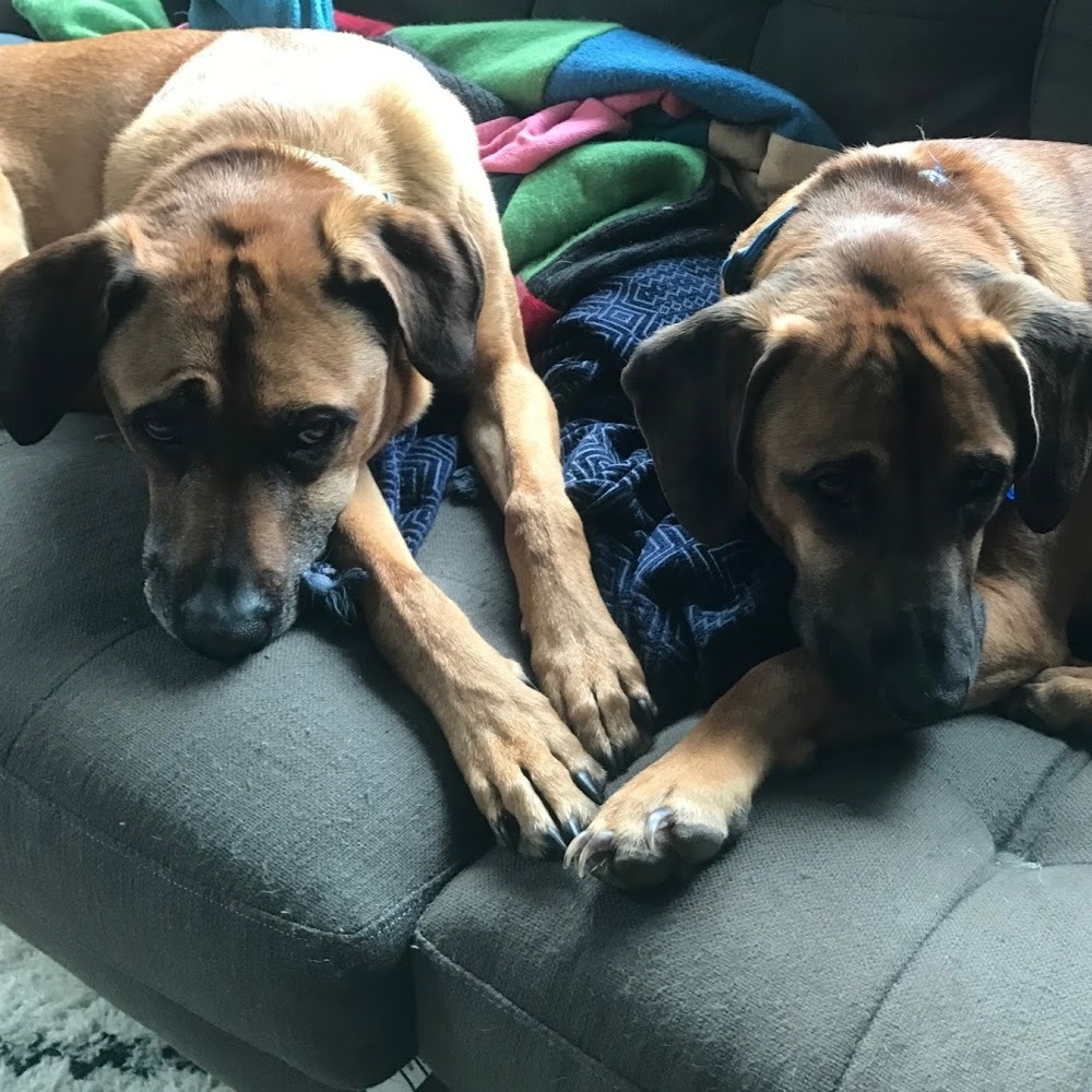 Meet your Posher, Susan